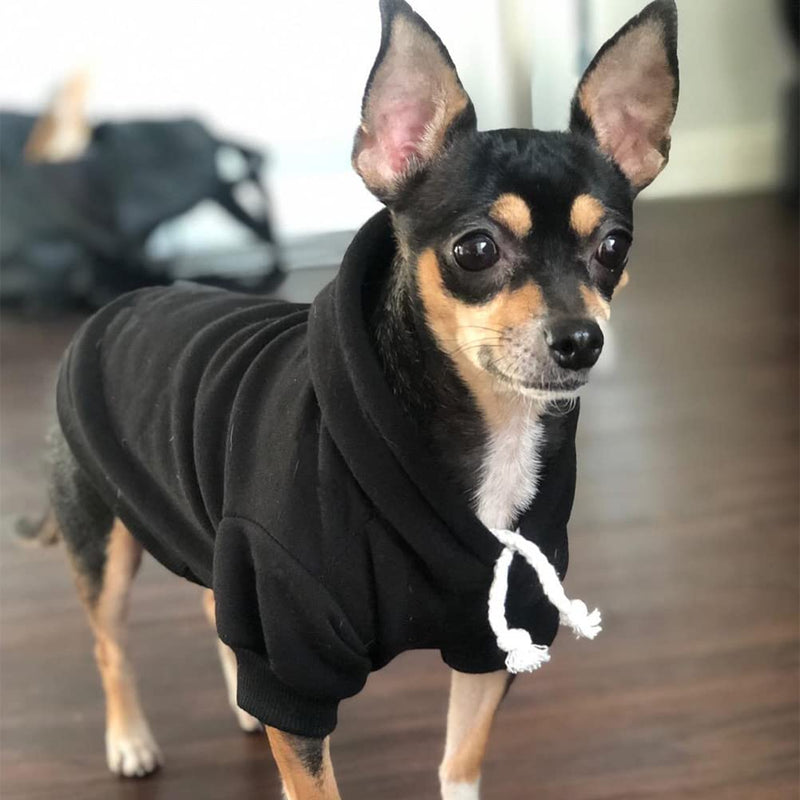 BINGPET Blank Basic Polyester Pet Dog Sweatshirt Hoodie X-Small (Pack of 1) Black - PawsPlanet Australia