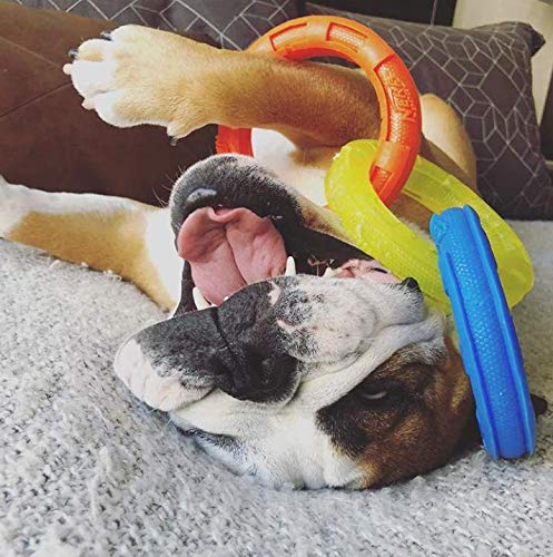 [Australia] - Nerf Dog Multi-Ring TPR Tuff Tug Dog Toys One-Size-for-Most Blue/Green/Orange 