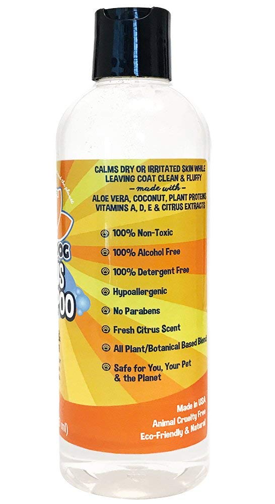 [Australia] - New Refreshing Orange Citrus Dog Shampoo | Coconut and Aloe Vera | All Natural Soothing & Moisturizing Pet Dog Puppy and Cat Wash - Made in USA - 1 Bottle 17oz (503ml) 