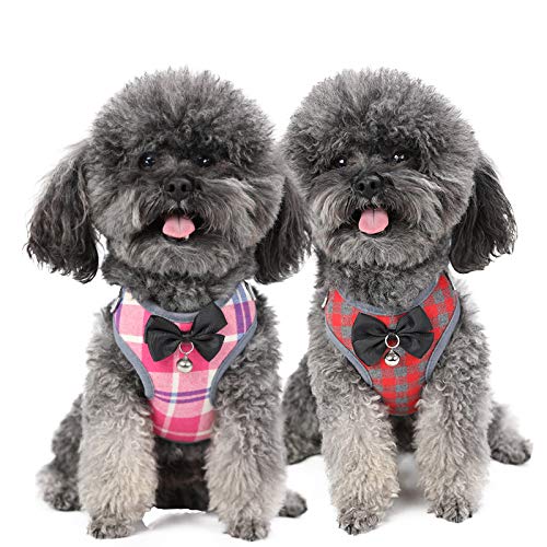 Kismaple Soft Mesh Dog Harness with Leash Set Puppy Cat Adjustable Cosy Classic Vest Harness with Cute Bow Tie Bell Chest Harness for Small Medium Dogs and Cats (M Chest: 11-18.1in, Pink) M Chest: 11-18.1in - PawsPlanet Australia