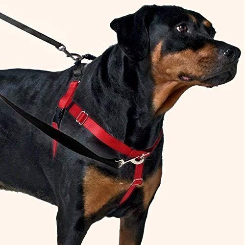 J Jaksons Heavy Duty Dog Big Nylon Belt Harness Attached No Choking Blue and Red Pet - PawsPlanet Australia