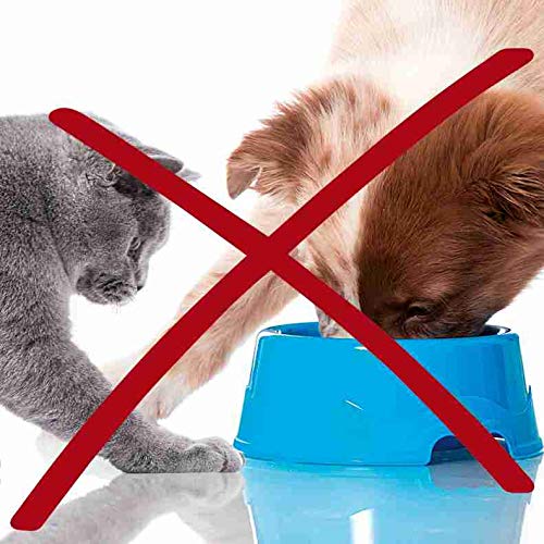 Trixie bowl dishwasher safe, BPA and PVC free - PawsPlanet Australia