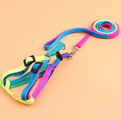 Pet Bird Harness and Leash with Buckle Adorable Rainbow Design Safe Parrot Leash Pet Harness Outdoor Adjustable Anti Bite Training Rope for Macaw Large Size Bird (M: 1cm × 47.24in) M: 1cm × 47.24in - PawsPlanet Australia