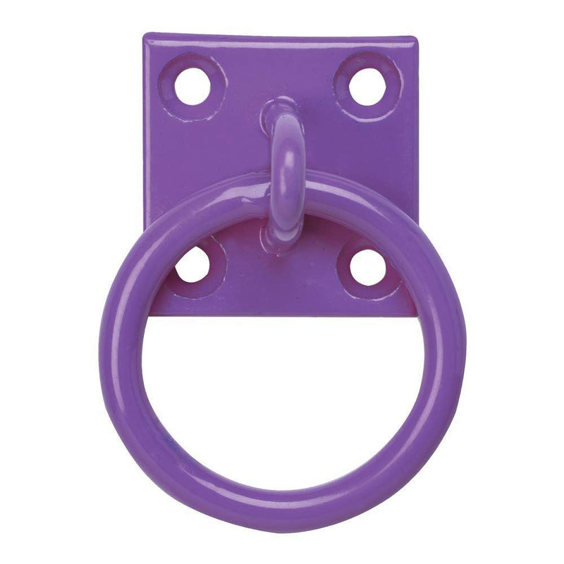Perry Equestrian Coloured Tie Ring on 50mm Plate Stable Horse Pony Tie Up Ring (Galvanised) Galvanised - PawsPlanet Australia