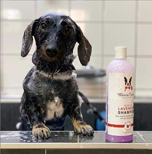 [Australia] - Warren London Calming Lavender Pet Shampoo w/Aloe Vera, Vitamins, Coconut - 17oz & 1 Gallon Sizes - Made in USA 17 Ounce 