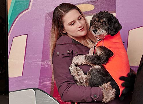 RC Pet Products Baseline Fleece Dog Coat, 12, Neon Coral/Purple (RC Pet Products Limited, us_Pets, RCPAG) - PawsPlanet Australia