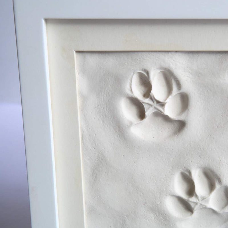 BabyIn Dog or Cat Paw Print Keepsake Folding Photo Frame with Clay for Pet Pawprint Imprint Kit (White) White - PawsPlanet Australia