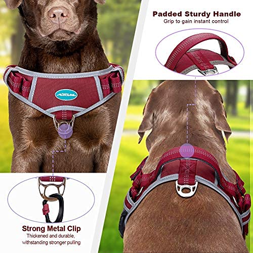 ThinkPet No Pull Hundegeschirr Breathable Sport Harness - Escape Proof/Quick Fit Reflective Padded Dog Safety Vest with Handle Back/Front Clips, Easy for Walking Training S(Chest:51—62cm,Neck:32—47cm) Red - PawsPlanet Australia