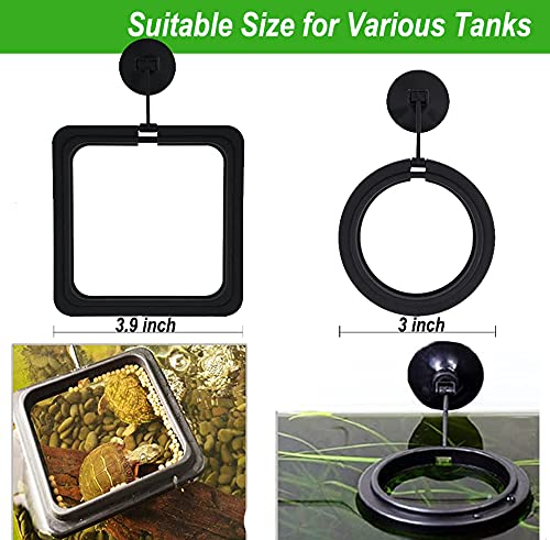 Zvaiuk 2pcs Fish Feeding Ring, ABS Material Floating Food Feeder with Suction Cup, Aquarium Fish Tank Fish Food Feeder Circle， for Guppy, bettas，Goldfish and Turtle (Square and Round) Black Ordinary - PawsPlanet Australia