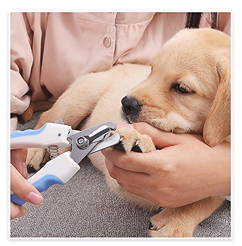 ANSIEDIO Claw Scissors for Dogs and Cats with Nail File - Stainless Steel Nail Scissors Claw Care Cutter for Medium & Small Pets Nail Clippers with Safety Protection (Blue) Blue - PawsPlanet Australia
