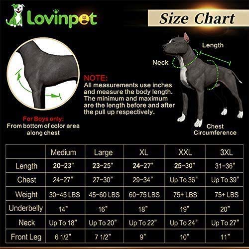 [Australia] - LovinPet Fat Dog Christmas Pajamas/Home Three Wise Santas Metallic Deeries Black Prints/Lightweight Pullover Pet Pajamas/Full Coverage Large Dog Onesie Jumpsuit Pjs Medium 