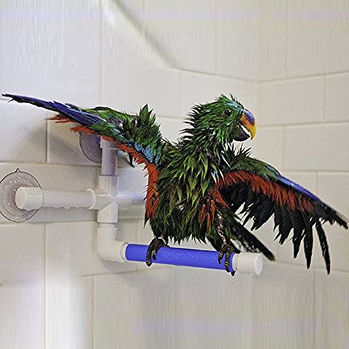 [Australia] - Folding Parrot Bath Shower Standing Platform Rack Parrot Standing Shower Perch Parakeet Bird Toy 