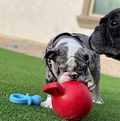 Jolly Pets Tug-n-Toss Dog Toy, 15 cm, Red 6 Inches/Medium - PawsPlanet Australia