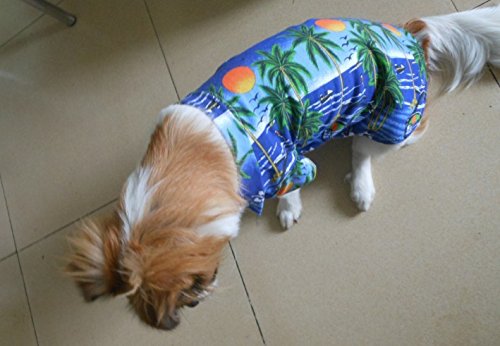 Tangpan Hawaiian Beach Coconut Tree Print Dog Shirt Summer Camp Shirt Clothes XS-10# Blue - PawsPlanet Australia