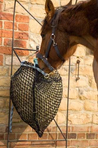 Trickle Net ® - The Most Effective and Strongest Slow Feeder Hay/Haylage Net for your Horse. Recommended by Vets for laminitis weight control or digestive disorders. Buy wise, buy once! - PawsPlanet Australia
