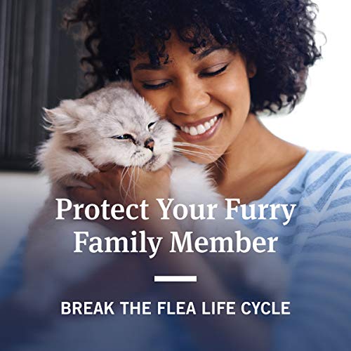 PetArmor Advanced 2 Flea Prevention for Small Cats, 6 Month Supply - PawsPlanet Australia