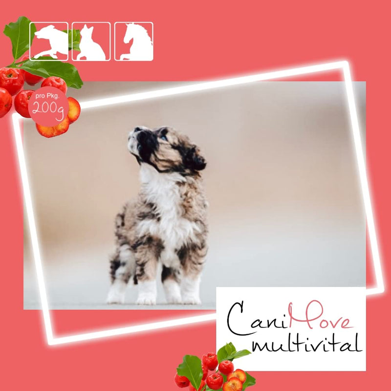 CaniMove multivital (100 vitamin tablets for dogs) | B complex, A, C, D3, E and taurine | Multivitamins for BARF, surgeries, construction, lactation, sport, exertion, illness | up to 1 year range - PawsPlanet Australia