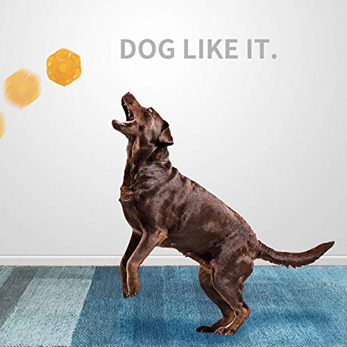 PUPWONG Dog Ball Toy Squeaky Pet Toys Chew Balls Waterproof Small Dog Toy For Dogs Playing Training Running Swiming (Orange) Orange - PawsPlanet Australia