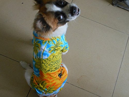 [Australia] - Tangpan Hawaiian Beach Coconut Tree Print Dog Shirt Summer Camp Shirt Clothes M-14# Yellow 