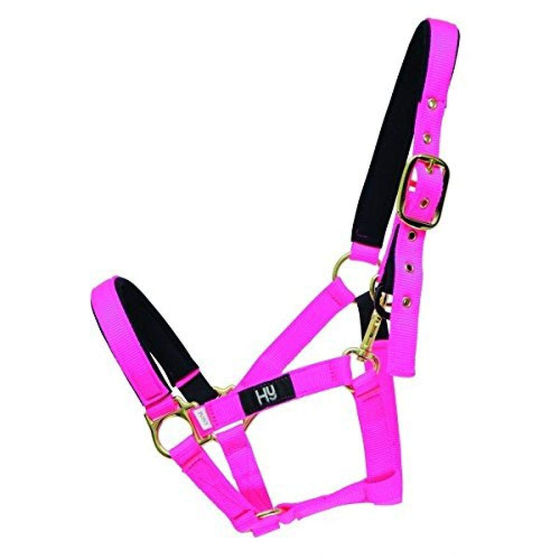 Hy Fieldsafe Headcollar - Black - Full - Horse Equestrian Halters & Headcollars - PawsPlanet Australia