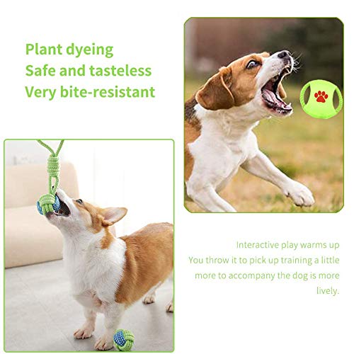 HEPAZ Dog Rope Toys,14 Pieces of Pet Chew Rope Toys Including Rope Carrot,Dog Rope Balls,Rope Bone,Rope Tug Durable Puppy Toys for Small Medium Large Dogs - PawsPlanet Australia