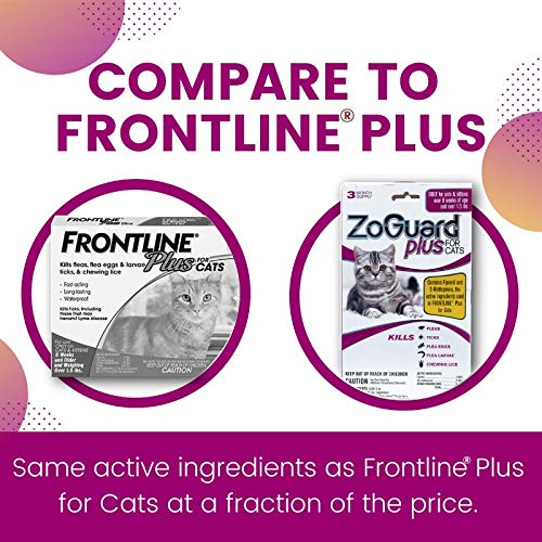 ZoGuard Plus Flea and Tick Prevention for Cats, Over 1.5 lbs 3 Dose - PawsPlanet Australia