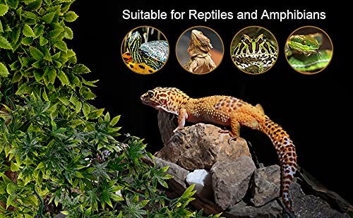 Abizoo Reptile Leaves,2 Pack Hanging Non-Toxic Climbing Terrarium Plant with Suction Cup for Bearded Dragons Lizards Geckos Snake Pets Hermit Crab and Tank Habitat Decoration Black - PawsPlanet Australia