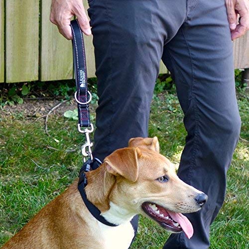 [Australia] - Leashboss Short Dog Leash with Padded Handle - 12, 18 and 24 Inch Reflective Leads with O-Ring - 1 Inch Wide Nylon for Training Medium and Large Dogs Black Reflective 12 Inch 