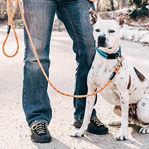 [Australia] - Flowfold Recycled Climbing Rope Dog Leash, Extra Strong and Durable Dog Leash, Rope Leash for Big Dogs, Medium Dogs and Small Dogs 4 feet Green 