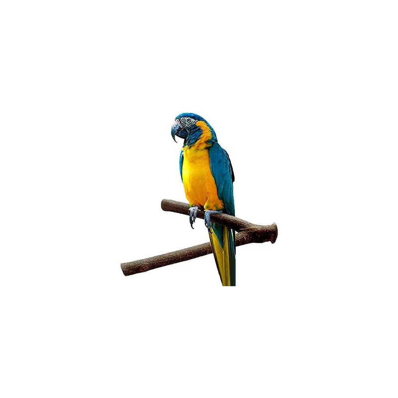 [Australia] - N/Y Bird Perch Parakeet Bird Parrot Natural Wood Fork Stand 4 PCS Bird Stand Toys for Conure Supplies Budgie Platform 