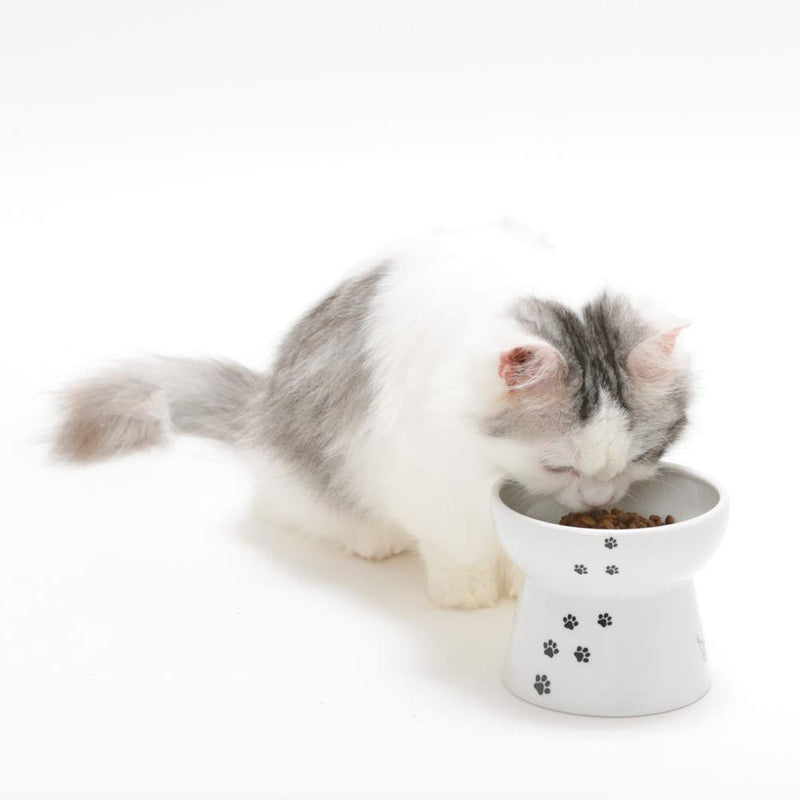 [Australia] - Necoichi Raised Cat Food Bowl Large, Cat, 0.436 kg 