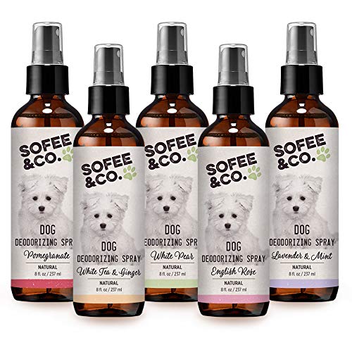 [Australia] - Sofee & Co. Natural Dog Puppy Shampoo - Clean Moisturize Deodorize Detangle Soothe Soften Normal Dry Itchy Flaky Allergy Sensitive Skin. Prevent Mattes. 16 oz Pomegranate 