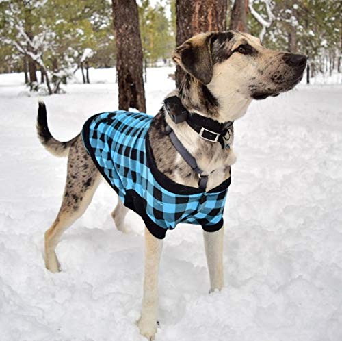 Pet Dog Puppy Windproof Thick Cotton-padded Dog Coat Winter Removable Hooded Scarf for Small Medium Dog Cat in Winter - Blue - XXL X-Large (Chest: 78cm) - PawsPlanet Australia