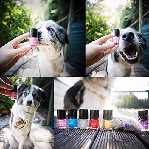 lesotc Dog Nail Polish Set, 6 Color Set (Pink, Purple, Red, Gold, Blue, Silver), Non-Toxic Water-Based Pet Nail Polish, Natural and Safe, Suitable for All Pet (Birds, Mice, Pigs and Rabbit) - PawsPlanet Australia