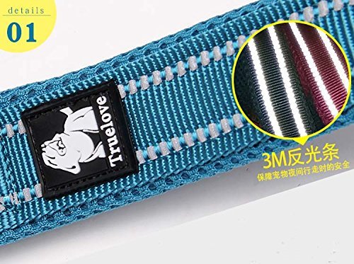 [Australia] - TRUE LOVE Reflective Dog Leash Puppy Walking Lead, Padded Pet Chain Rope，Length 200cm Truelove TLL2111 L Blue 