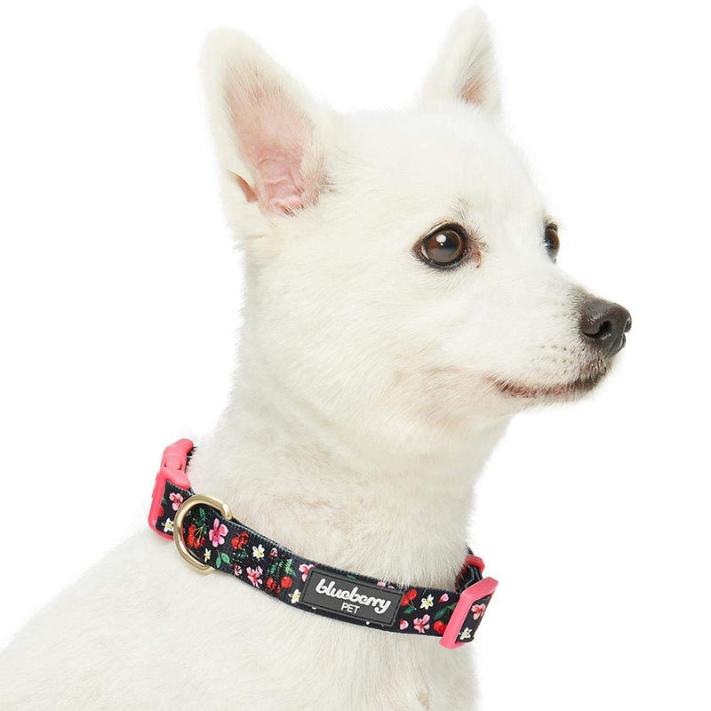 [Australia] - Blueberry Pet 10 Patterns Spring Scent Floral Dog Collars, Personalized Collars Regular Collar - X-Small Black 