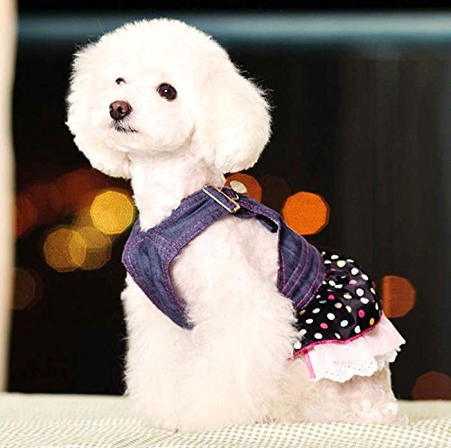 SMALLLEE_LUCKY_STORE Small Dog Dress Female Denim Overalls Vest Dots Print Lace Skirt Tiered Heart Shaped Pet Clothes XS Blue - PawsPlanet Australia