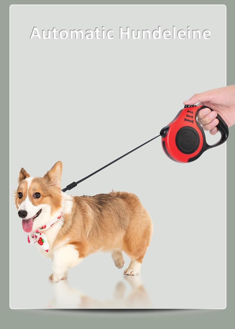 Extendable Dog Leash, Automatic Telescopic Tractor Dog Rope 5m, Durable and Practical, Suitable for Small and Medium Dogs (Red) Red - PawsPlanet Australia