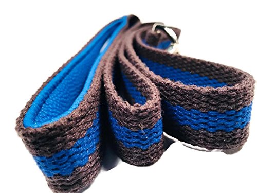 Smarty Pawnts Premium Cotton Dog Leashes, Blue and Grey - PawsPlanet Australia
