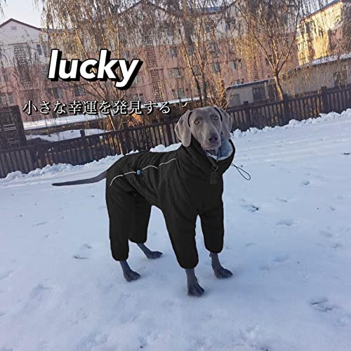 Winter Dog Coat Dog Cold Weather Coats Pet Dog Clothes Windproof Dog Sweater Warm Fleece Padded Winter Dogs Cats Puppy Small Medium Large Black S - PawsPlanet Australia