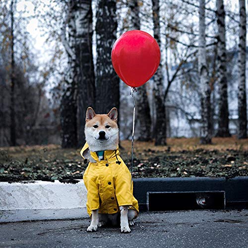 Dogs Outfits for Small Medium Large Dogs Waterproof Puppy Raincoat Dog Jacket Coat Windproof Pet Outfits Pet Supplies (L) - PawsPlanet Australia