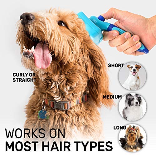 [Australia] - CleanHouse Pets Cat and Dog Hair Brush - No More Shedding | Easy Self Cleaning Button! All Pet Sizes, Small to Large. Pro Grooming Slicker Brushes, Removes Loose Hairs, Tangles, Cleans & Desheds blue 