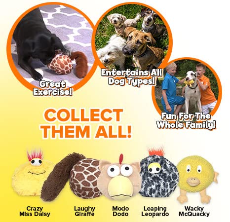 Gazoos Interactive Dog Toy - Modo Dodo - PawsPlanet Australia