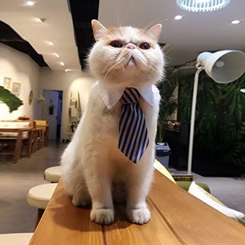 [Australia] - Kailian Cat Tie Adjustable Twill Cotton Tie fit for Small Dogs Cats Puppy Blue/Khaki 