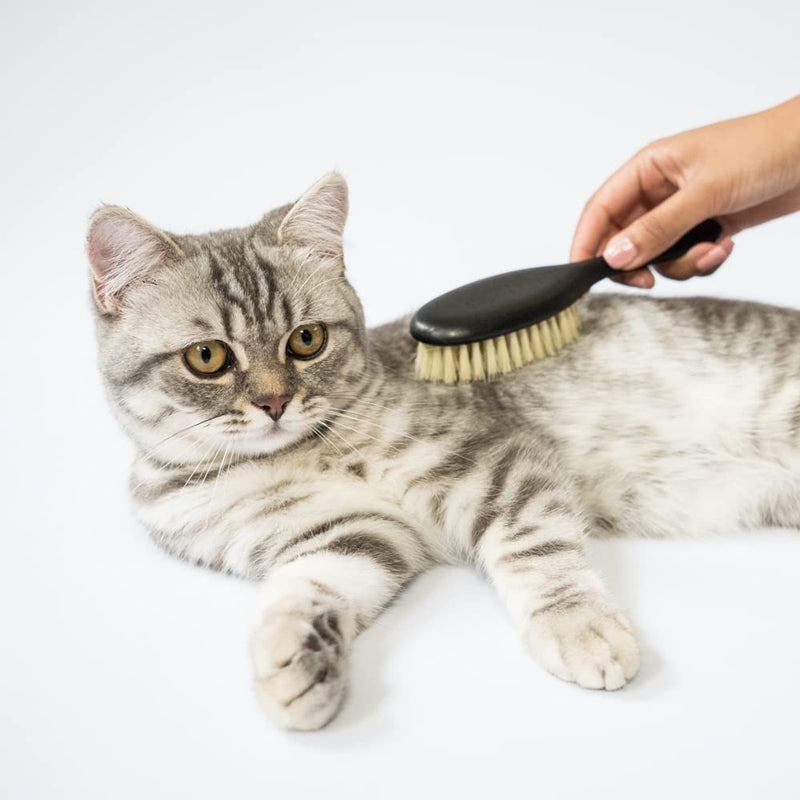 LucyBalu® cat brush short hair & long hair | Fur brush for cats| Cat comb for grooming cats | Pet hair brush for cats | Cat hair brush with agave fiber bristles & wooden handle vegan black - PawsPlanet Australia