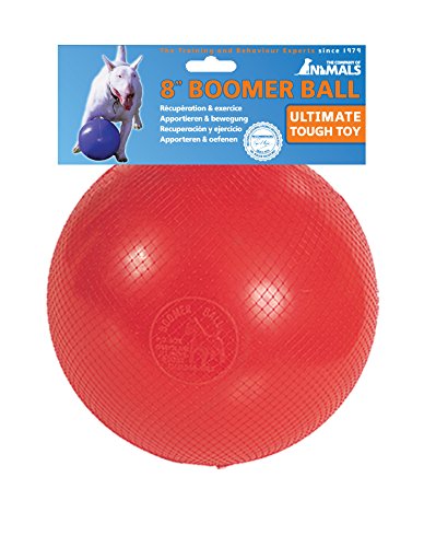 BOOMER BALL 4 inch, Virtually Indestructible Best Dog Toy, Boredom Busting Football, Tough & Durable Small Dog Ball, Floats on Water, Great for Mental Stimulation & High Energy Dogs, Assorted Colours Single - PawsPlanet Australia