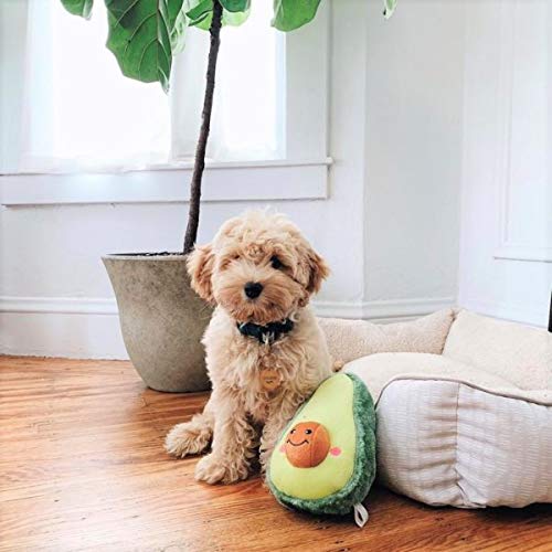 [Australia] - ZippyPaws Nomnomz Avocado Dog Toy - Soft Plush Squeaker Toy for Small, Medium, Large Dogs 