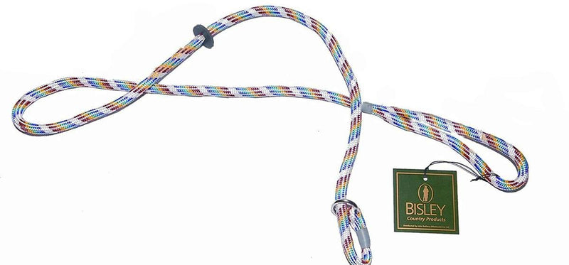 Bisley Dog Slip Leads Assorted colours - PawsPlanet Australia