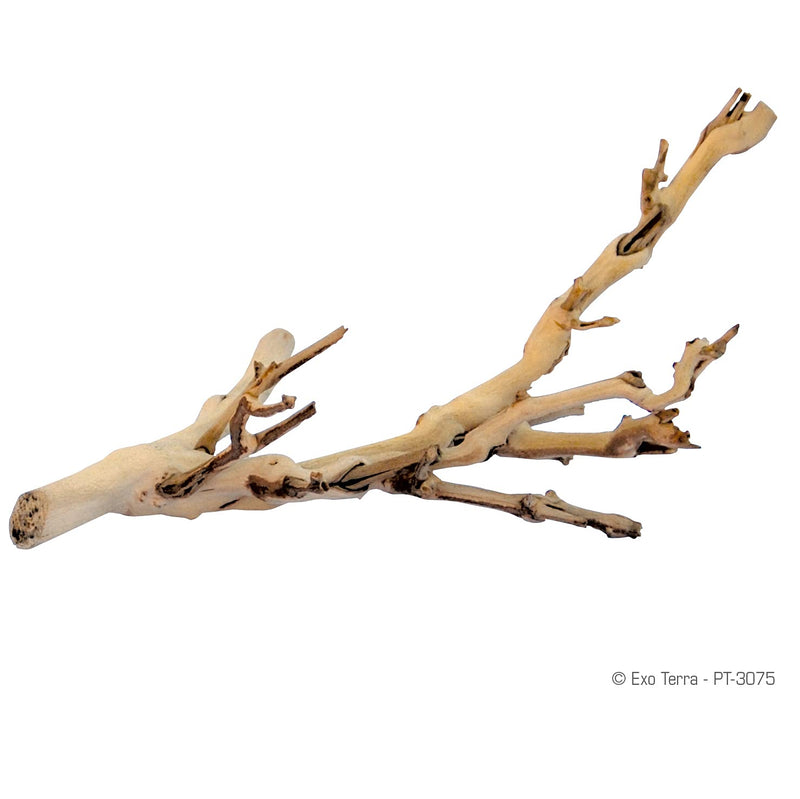 Exo Terra Forest Branch, Small (Exact Size May Vary) - PawsPlanet Australia