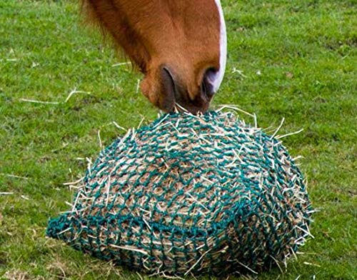 Trickle Net  MINI, Green, Mini - PawsPlanet Australia